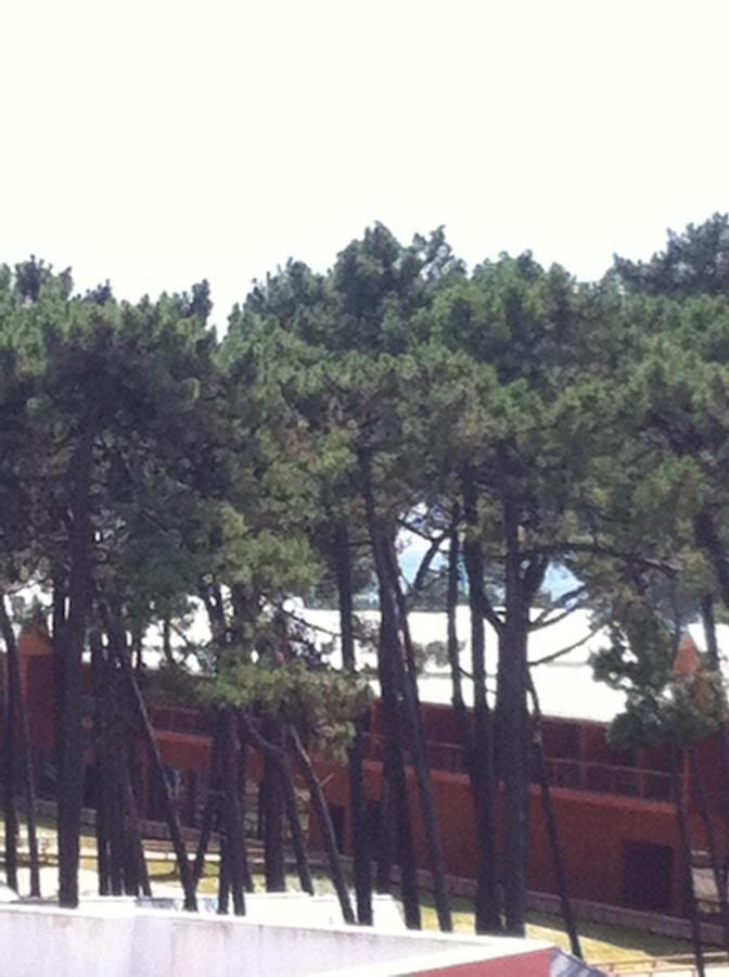 Beach House Cabedelo Viana do Castelo Eksteriør bilde